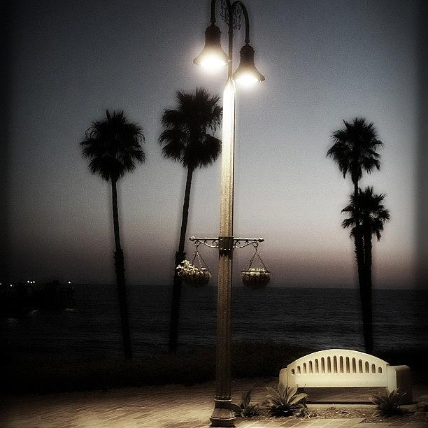 Lamp Light Photograph by Jessica Jones