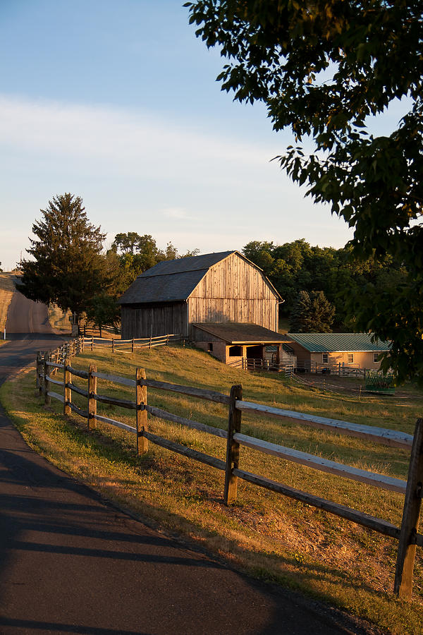 the finch farm