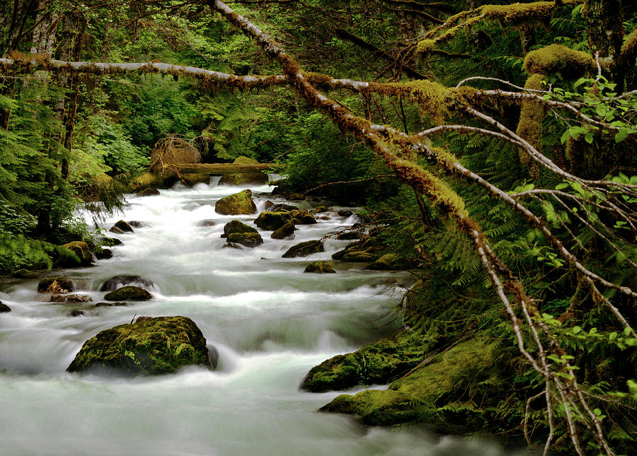 Land Before Time Photograph by Tim F Hale