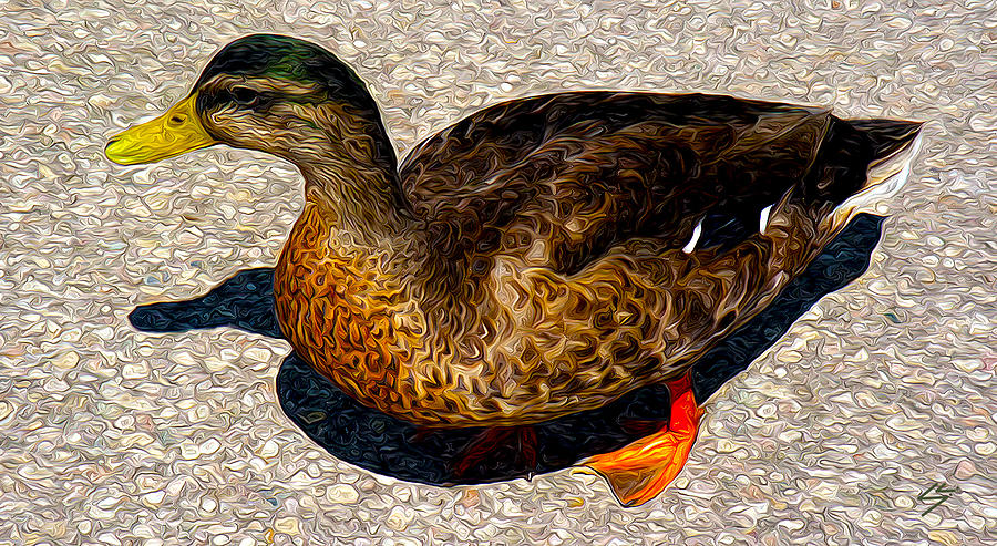 Duck Digital Art - Land Duck by Sotiri Catemis