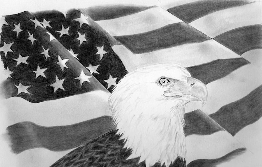 Land of the Free Drawing by Lou Knapp