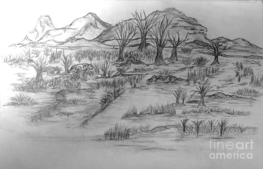 Landscape 4 Drawing by John Krakora