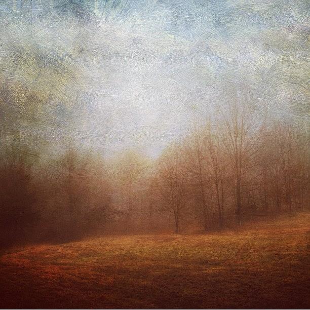 Landscape And Light Photograph by Mary Ann Reilly