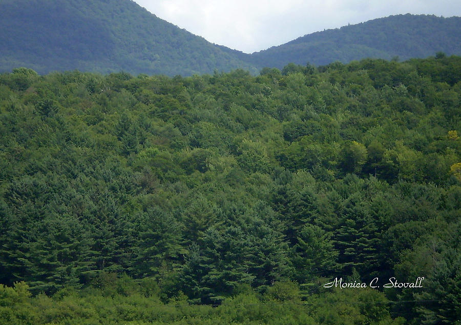 Landscape Collection - Vermont  Photograph by Monica C Stovall