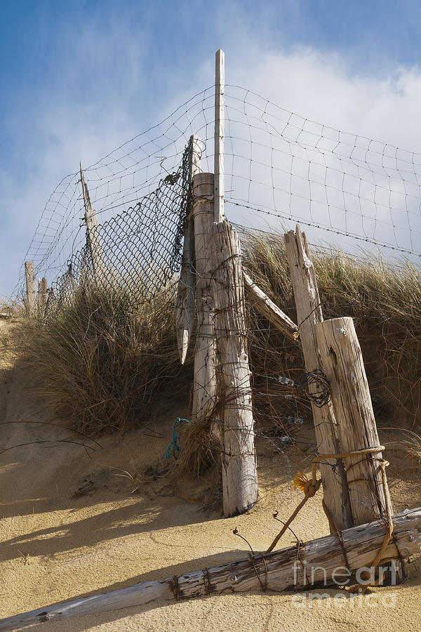 Nature Photograph - Landscape Fence Posts Desiccated Sand dunes by Hugh McKean