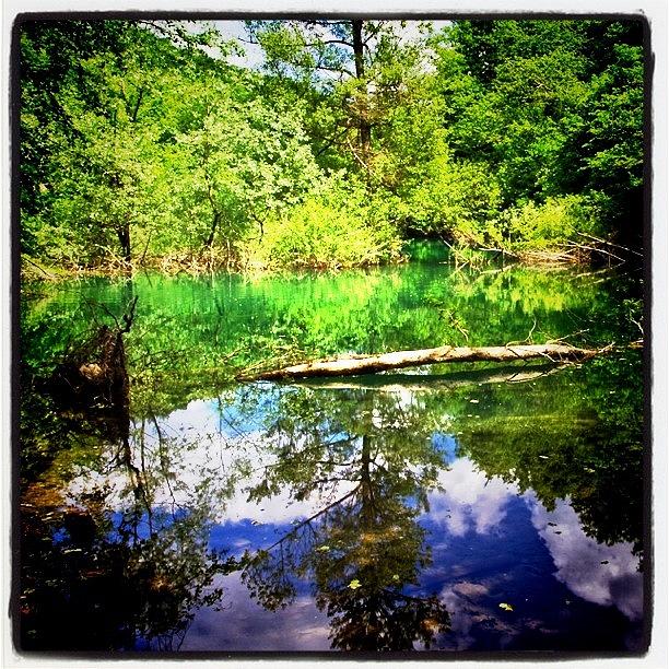 Landscape In Monza Park #instagram Photograph by Roberto Pagani - Fine ...