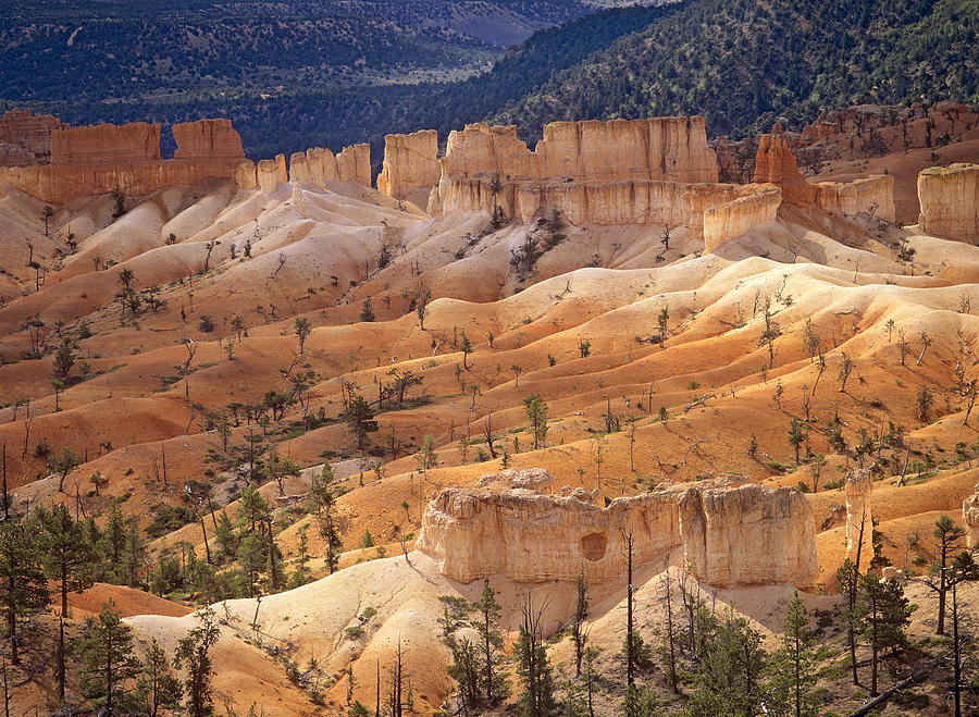 Landscape Of Eroded Formations Called Photograph by Tim Fitzharris