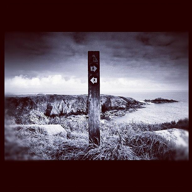 Landscape Photograph - #landscape #signpost #seaside #walk by Rachel Purchase