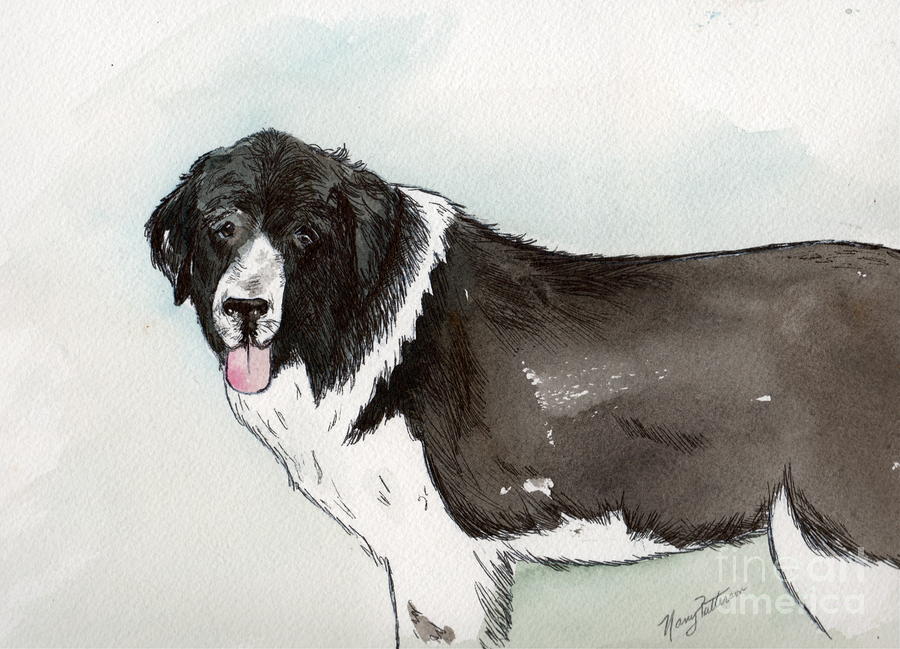Landseer Newfoundland Painting by Nancy Patterson