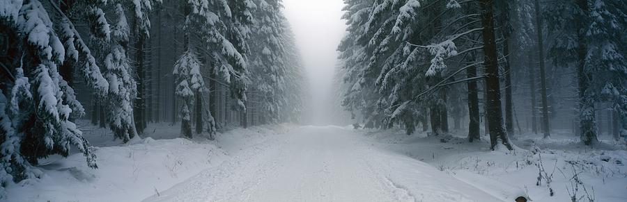 Lane through winter forest Photograph by Ulrich Kunst And Bettina Scheidulin