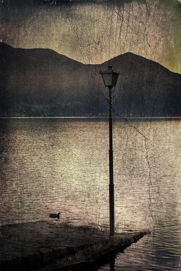Duck Photograph - Lantern At The Lake by Joana Kruse