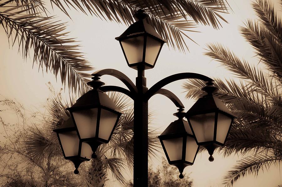 Lanterns and Fronds Photograph by DigiArt Diaries by Vicky B Fuller