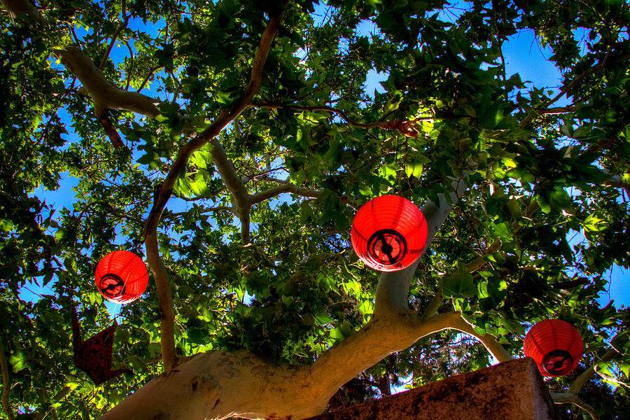 Lanterns at Tlaquepaque in Sedona Arizona Photograph by David Patterson