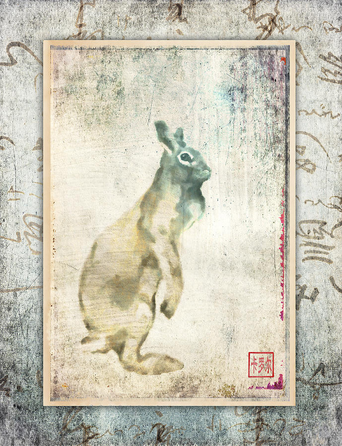 Rabbit Photograph - Lapin du Jour by Carol Leigh