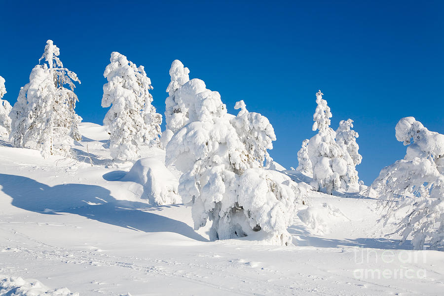 Lapland Finland Photograph