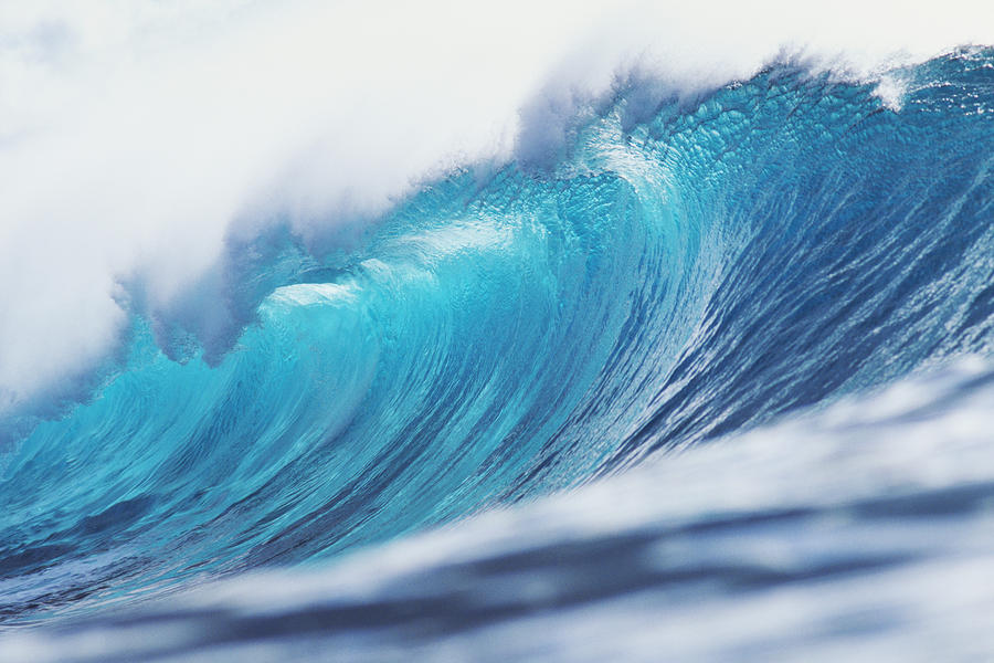 Large Curling Blue Wave by Ali ONeal - Printscapes