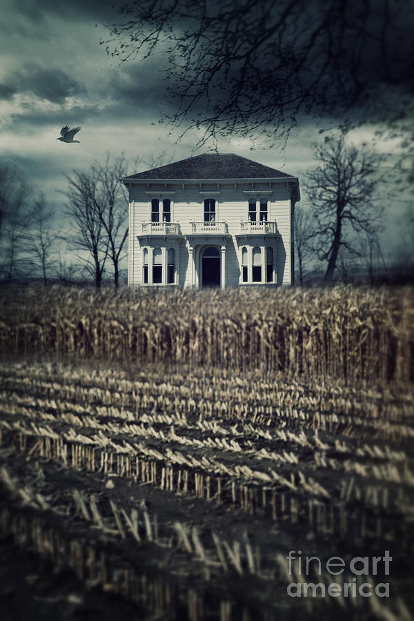 Large old country house at the end of corn field Photograph by Sandra Cunningham