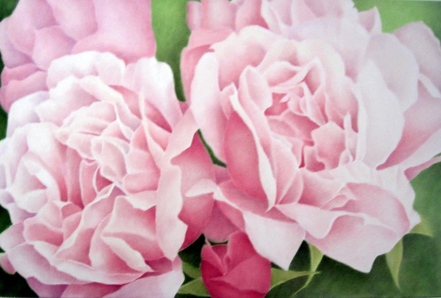 Large Pink Roses by Terri Meyers