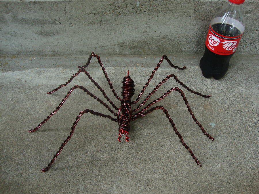 Spider Sculpture - Large Wire Spider Next To 20oz Soda by Scott Faucett
