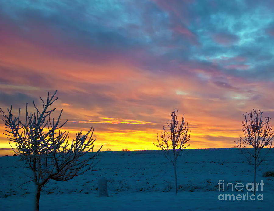 Larimer County Winter Sunrise Photograph by Harry Strharsky