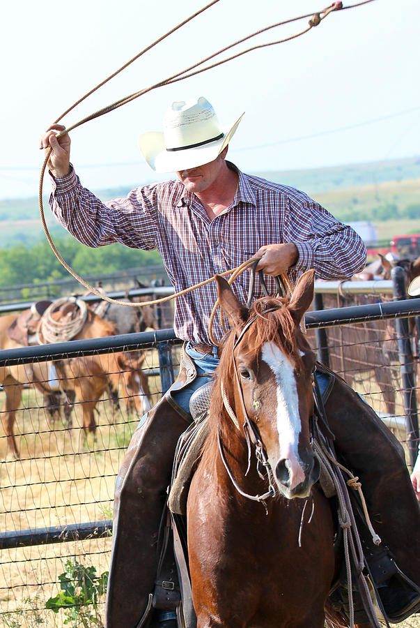 Lasso Photograph by Elizabeth Hart - Fine Art America
