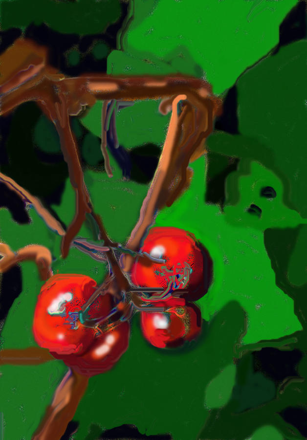 Last Four Tomatoes Digital Art by Ian  MacDonald