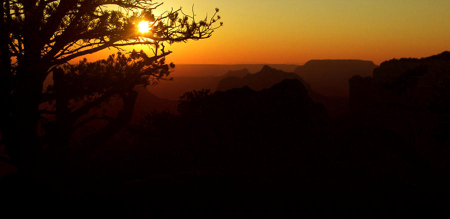 Last Golden Rays - Grand Canyon Photograph by Ellen Heaverlo