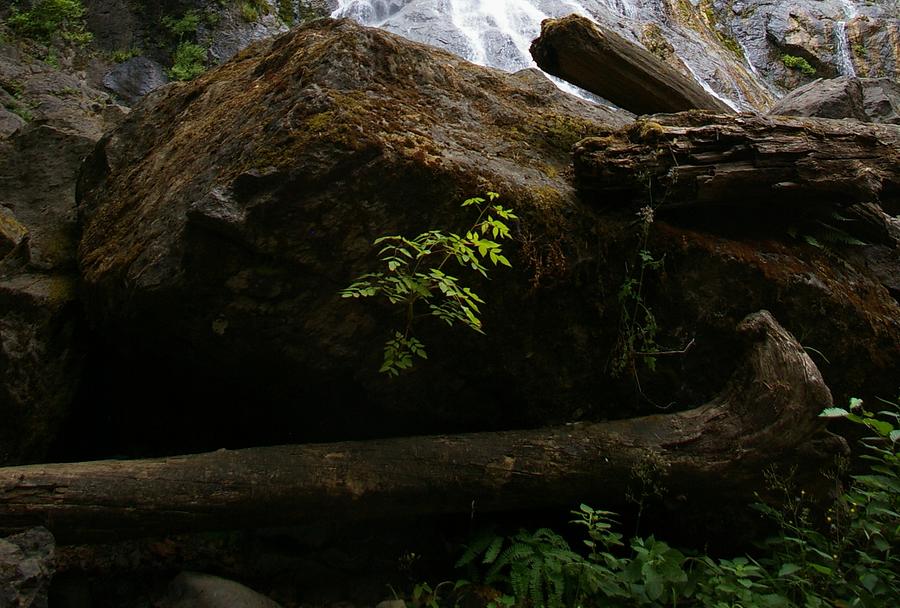 Waterfall Photograph - Last Summer in a Hood Canal Washington forest. by Christine Burdine