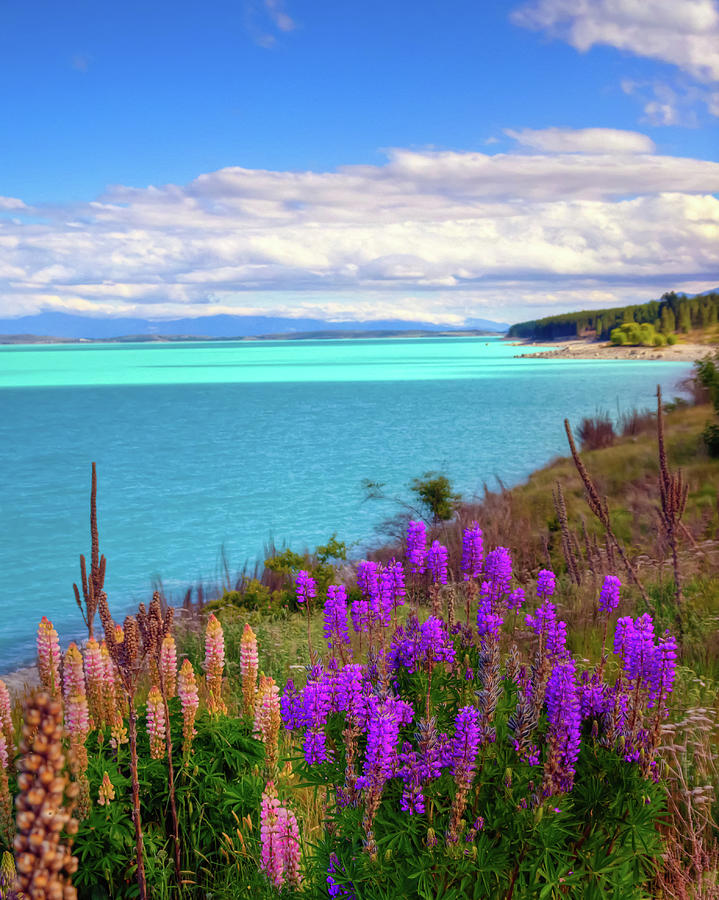 Late Afternoon at Lake Pukaki Photograph by Harry Strharsky
