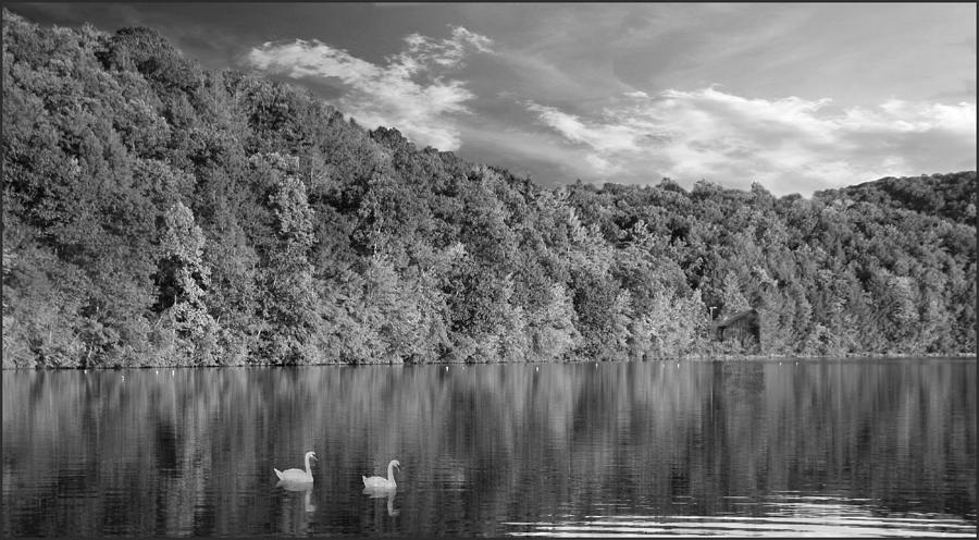 Late Afternoon at the Lake - BW Photograph by David Dehner