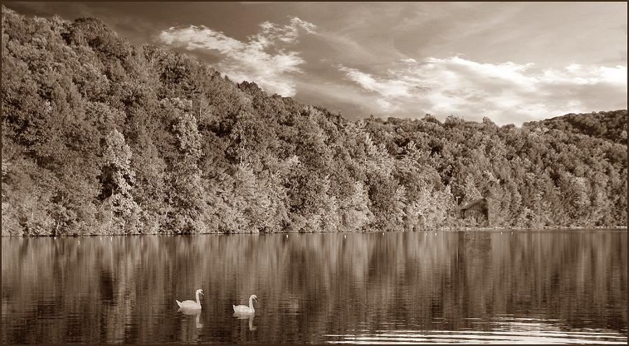 Late Afternoon at the Lake - S Photograph by David Dehner