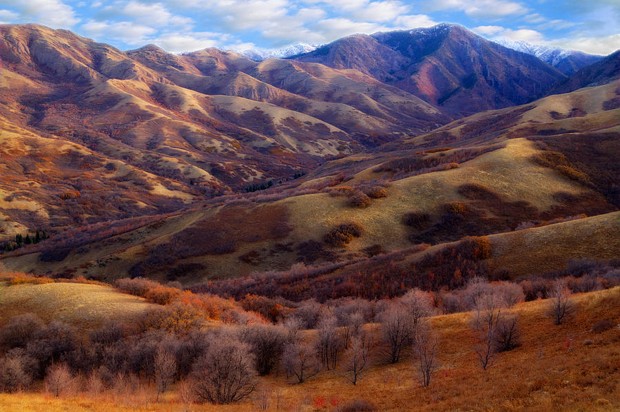 Late autumn in the Wasatch foothills Photograph by Douglas Pulsipher