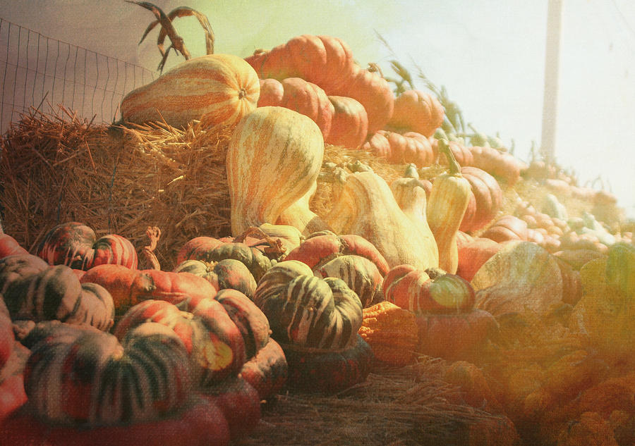 Fall Photograph - Late Fall Harvest by Loud Waterfall Photography Chelsea Sullens