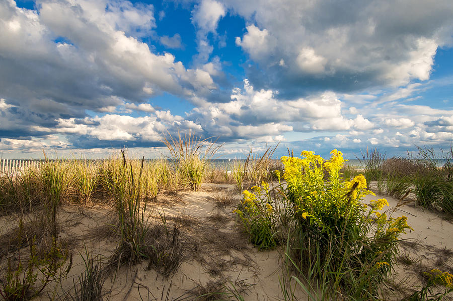 Late Summer Dunes Ocean City Photograph by Jim Moore
