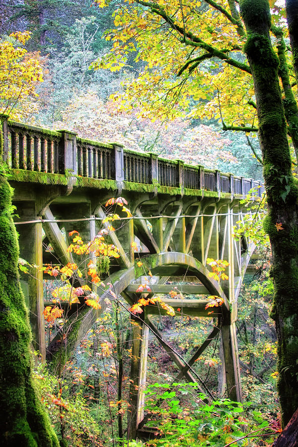 Fall Photograph - Latourel Creek Bridge by Albert Seger