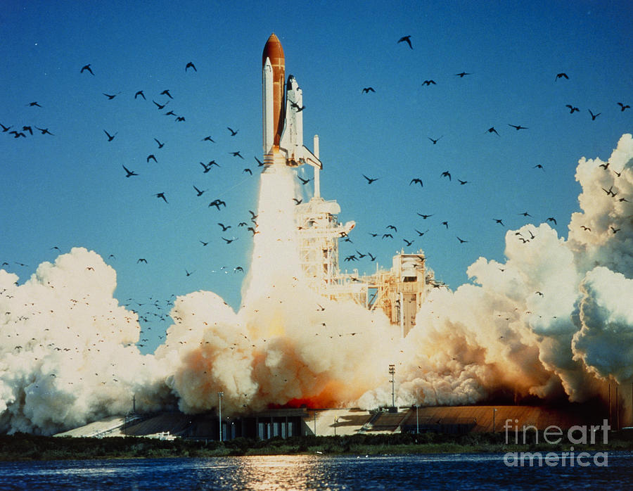 Launch Of Space Shuttle Challenger 51-l Photograph by NASA Science Source