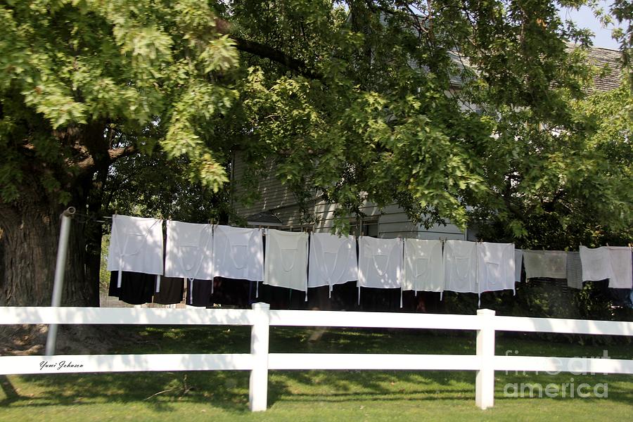 Laundry day at Amish home Photograph by Yumi Johnson