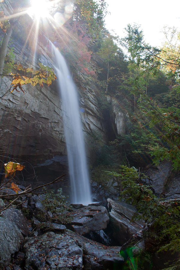 Laurel Waterfall Photograph by David Troxel