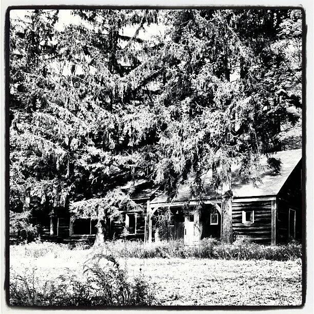 Abandoned Photograph - #laurelmountain#midwaycabin#abandoned by Kellie Hoffman