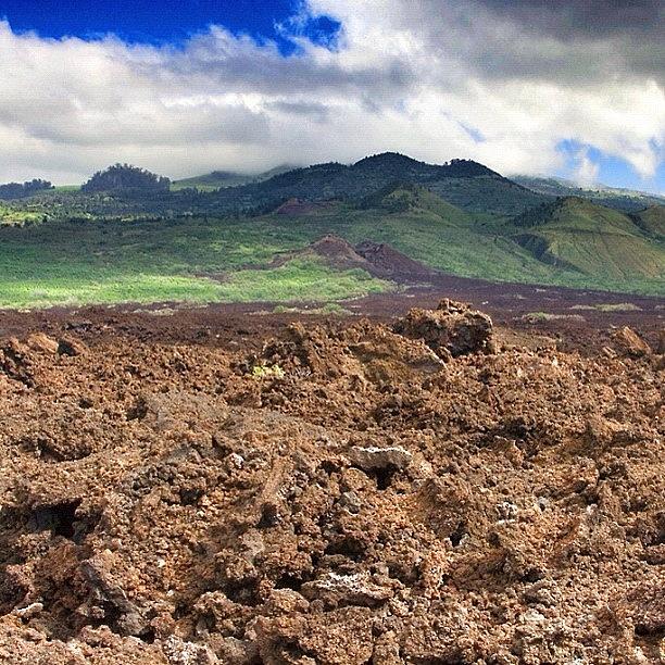 Nature Photograph - Lava Field In Maui #maui #hawaii #usa by Shelley Walsh