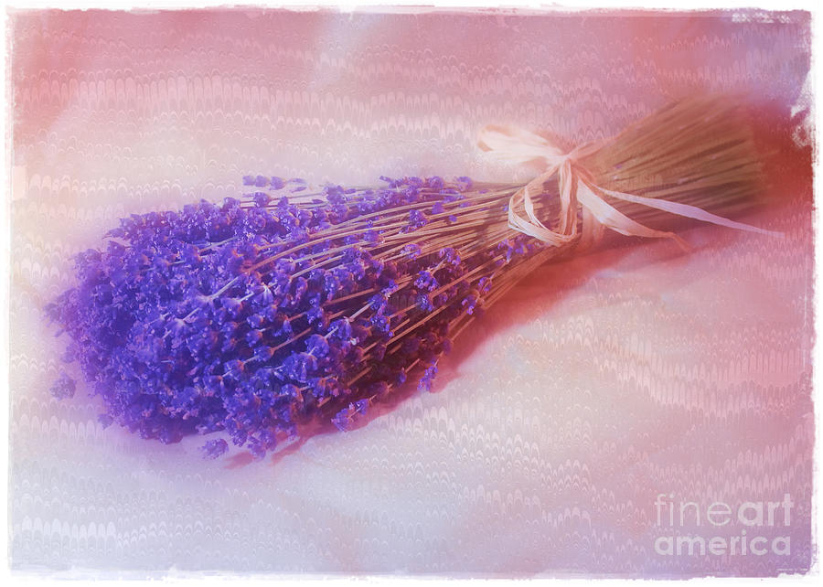Lavender - Lace - and Memories Photograph by Judi Bagwell