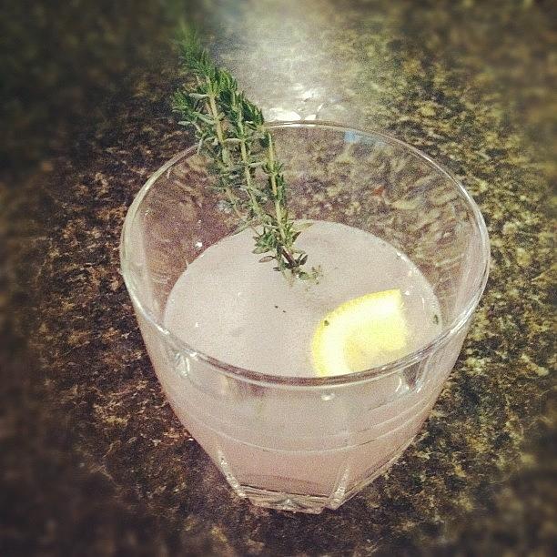 Lavender And Thyme Martini - Recipe Up Photograph by Tyler McCall