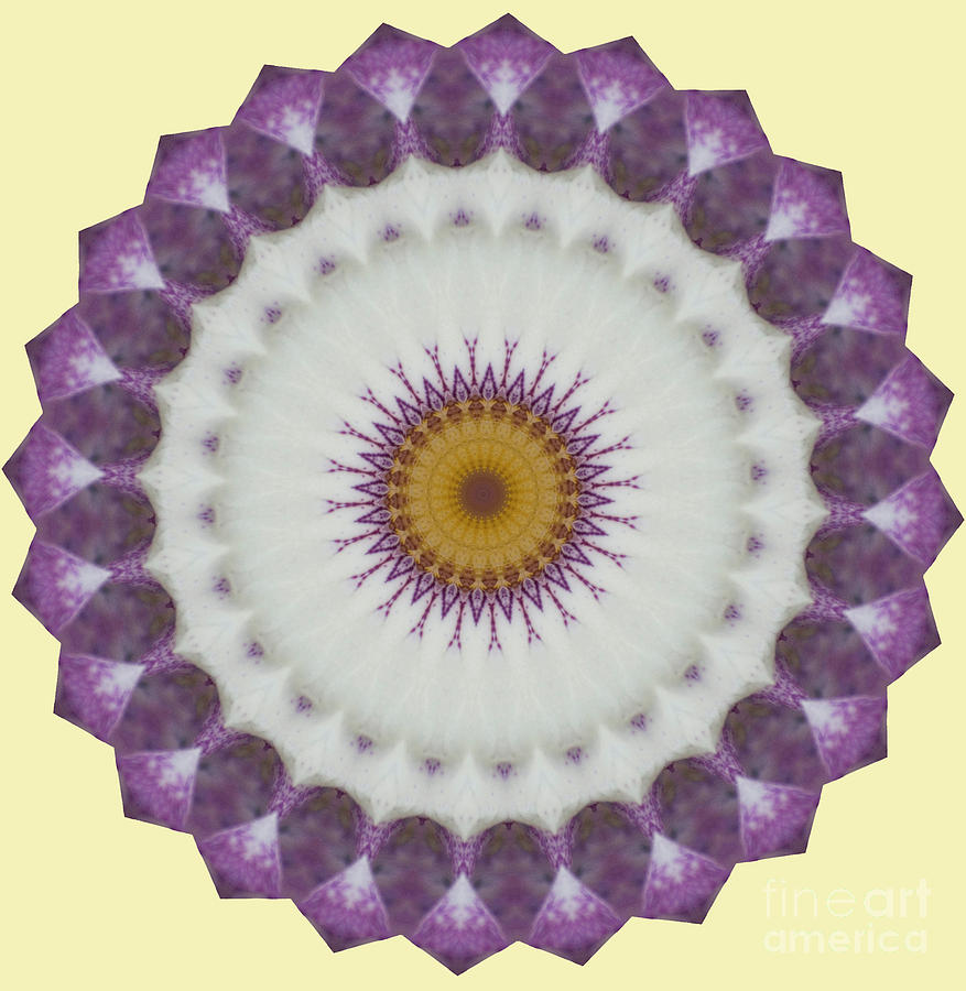 Lavender and yellow kaleidoscope Photograph by Jim And Emily Bush