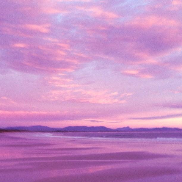 Lavender Clarkes Beach Photograph by Shikoba Photography
