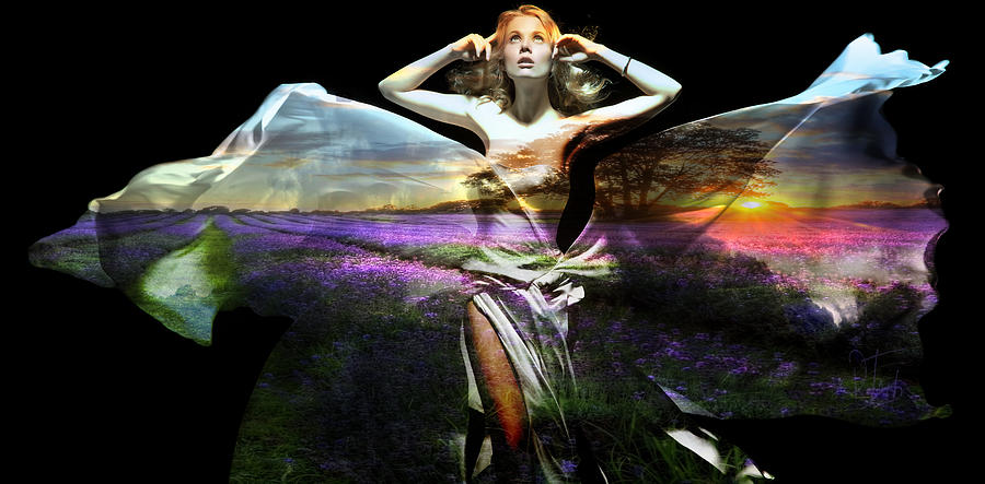 Sunset Digital Art - Lavender by Rozalia Toth