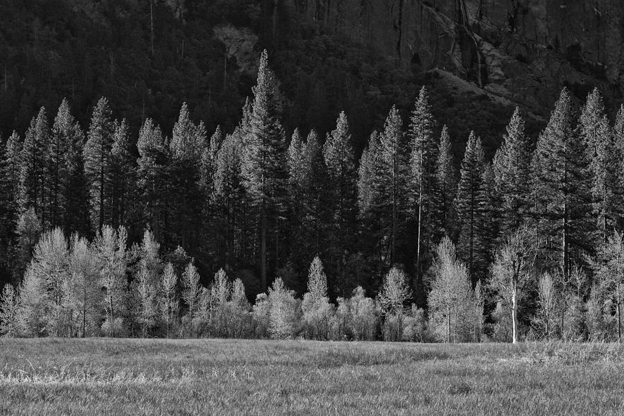 Yosemite National Park Photograph - Layers of Yosemite by Rick Berk