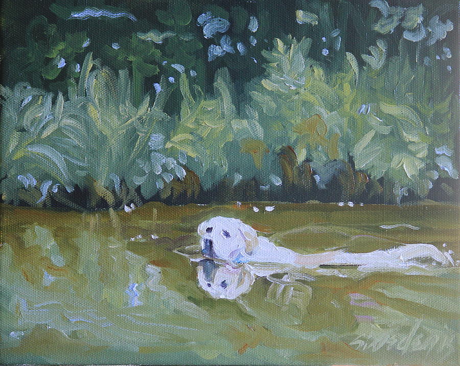 Water Painting - Lazy Day Swim by Sheila Wedegis