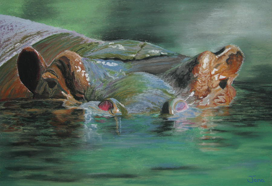 Lazy Hippo Painting By Jana Pfremmer Fine Art America