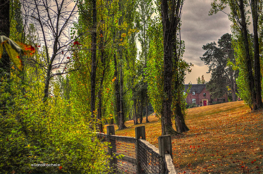 Fall Photograph - Le Chateau A fall day in the NW by Sarai Rachel Fall Photograph - Le Chateau A fall day in the NW by Sarai Rachel