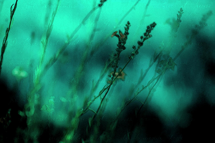 Nature Photograph - Le Jardin by Bonnie Bruno